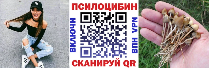 Галлюциногенные грибы прущие грибы  кракен зеркало  Сысерть 